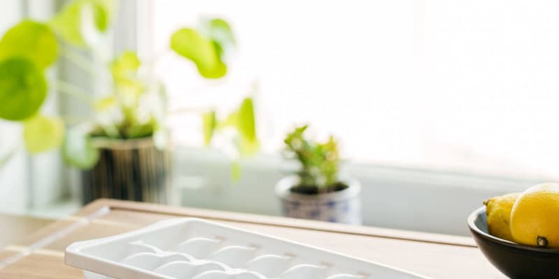 Kong ice cube sales tray